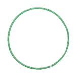 Lankas gimn. Didelis-0